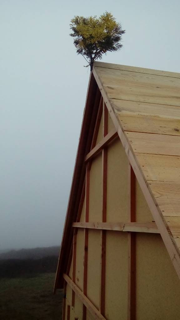 Bouquet de charpente scop l'acacia