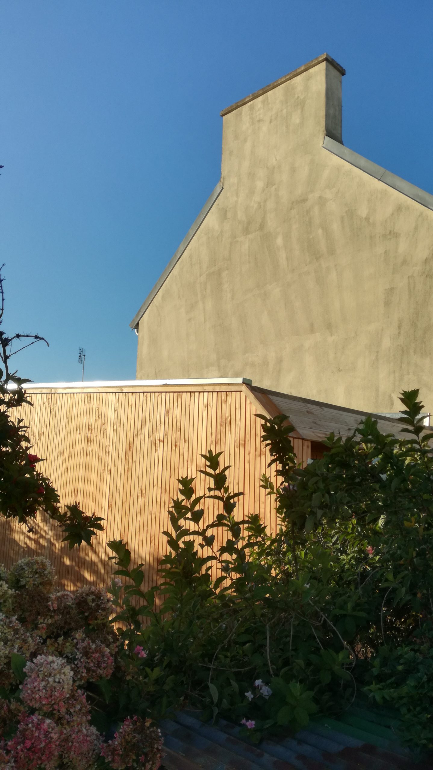 extension ossature bois scop l'acacia