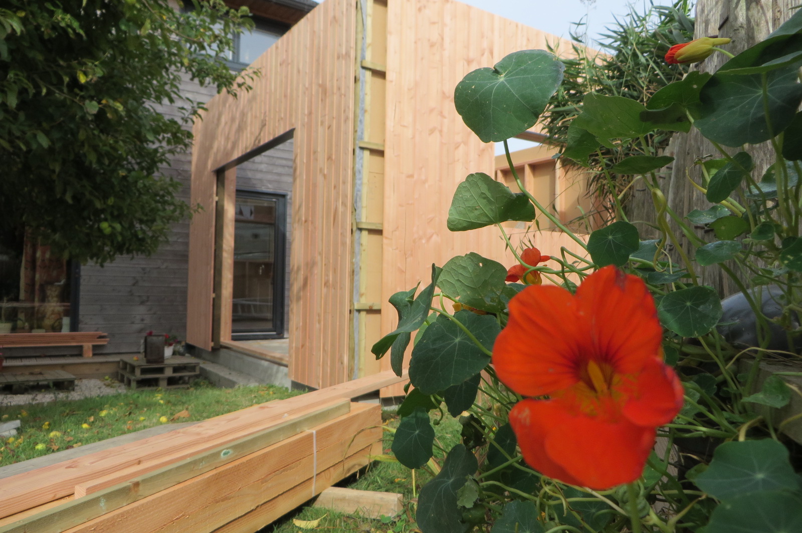 extension bois portsall