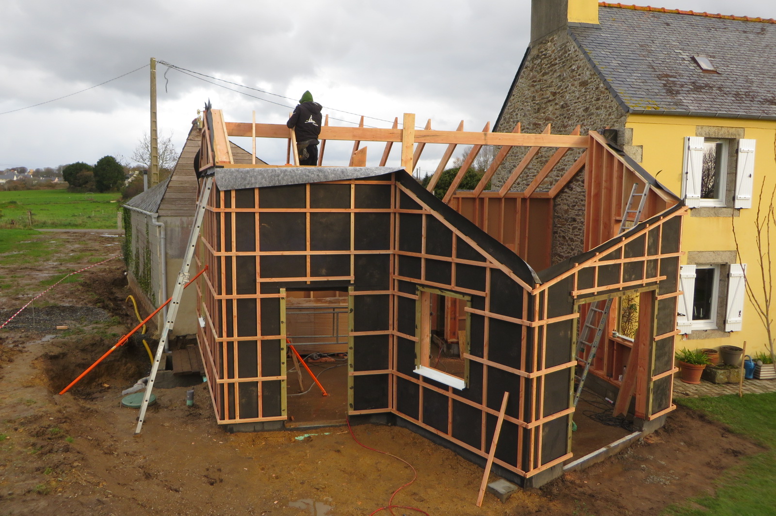 extension ossature bois