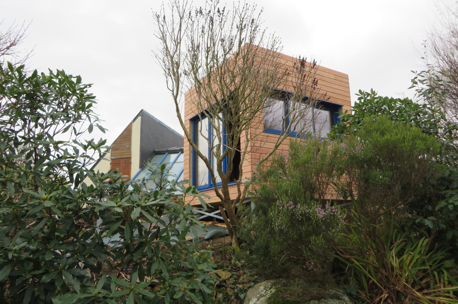 extension ossature bois